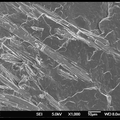 高性能无机镁盐晶须的制备、表征及应用研究