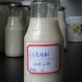 全豆奶的乳化稳定性研究及工程设计