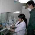 探索考马斯亮蓝G-250染料进行恶性疟原虫抗药性测定的研究