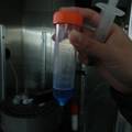 一种重组藻蓝胆素的制备方法及应用