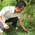 崆峒山自然保护区野生药用植物资源调查研究