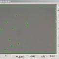 面粉麸星的计算机检测系统