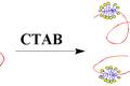 明胶与CTAB复合模板法制备介孔材料及其在酶固定化中的研究