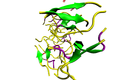 利用计算机模拟研究氨基酸序列对于朊病毒分子间聚集的影响