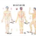 2000-2009年《中国针灸》临床研究和报道中穴位谱研究