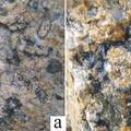 华南环斑花岗岩的发现及其地质意义