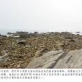 青岛唐岛湾的形成与海岸演化