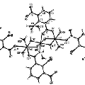 3-硝基邻苯二甲酸铜配合物的合成与结构