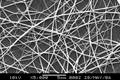 海洋鱼类胶原蛋白开发深加工产品——纳米纤维材料