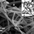 低维聚苯胺纳米纤维及其复合纤维的制备
