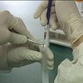 纳米TiO2浆料助剂致DNA损伤的研究