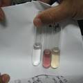 牡丹花精油化学成分与抗氧活性分析