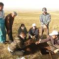 三江源区不同退化高寒草甸土壤动物群落结构特征的研究