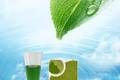 绿色食品脱硫剂--生物催化剂脱除食品中二氧化硫的研究