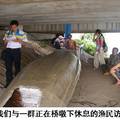 湖南省洞庭湖上岸渔民可持续发展问题调查研究