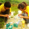 安县长沟村养殖水质调查评价及其污染防治对策