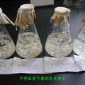生物絮凝剂在再生造纸零排放技术中的应用研究