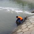 三峡库区腹地水体微生物污染调查及其风险评价