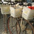 自行车停车换乘调查及对策分析--以北京市为例