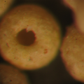 纳米复合陶粒的性能测试及应用探究