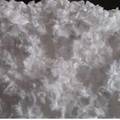 硫酸钙晶须表面湿法改性研究