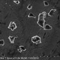 水基分散纳米石墨亲水改性及切削液制备研究