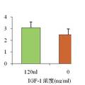 卵内注射rhIGF-1对鸭胸肌早期发育及FST基因表达的影响