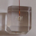 大尺寸各向同性旋光晶体的光学特性研究与应用