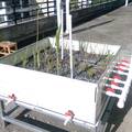 小型（浅型）人工湿地模拟系统设计 