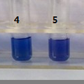 变色囊泡三聚氰胺检测剂在食品检测中的应用