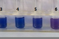 变色囊泡三聚氰胺检测剂在食品检测中的应用