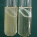 微生物发酵直接合成纤维素异型产品及其应用
