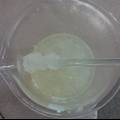 酶法从柚皮中制取低甲氧基果胶的研究