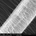 电纺聚合物纳米纤维的尺寸效应