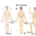 2000-2009年《中国针灸》临床研究和报道中穴位谱研究