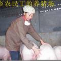 广西欠发达地区返乡农民工创业对策研究