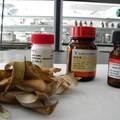 大豆荚壳营养成分及主要营养成分的抗氧化活性研究