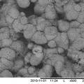 微生物诱导碳酸钙矿化及其在石质文物表面修复的应用研究