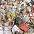 兰州市生活垃圾的处理及综合利用情况调查