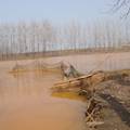 我国农村水污染受害者社会救助调查与思考