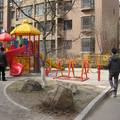 关于沈阳市住宅小区的公共服务设施、道路和绿化问题调查