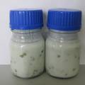 螺旋藻功能性酸奶的研制