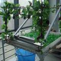温室大棚自动灌溉智能控制系统
