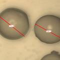 多孔醋酸纤维素微球的制备方法与工艺研究