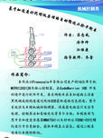 基于加速度计陀螺仪的自动循迹二轮平衡车