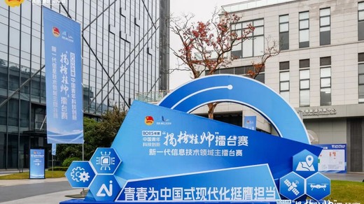 2025年度中国青年科技创新“揭榜挂帅”擂台赛新一代信息技术领域主擂台赛圆满落幕！