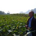 文化农民的生态观探析——以广西上林马安庄为例