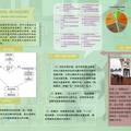 惠州市幼儿园现状、问题与发展对策
