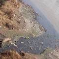 黄河上游支流--苦水河会宁段水质状况的调查与分析