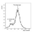 Micromegas中子探测器位置分辨特性的Monte Carlo研究